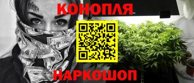 крисы Лесосибирск