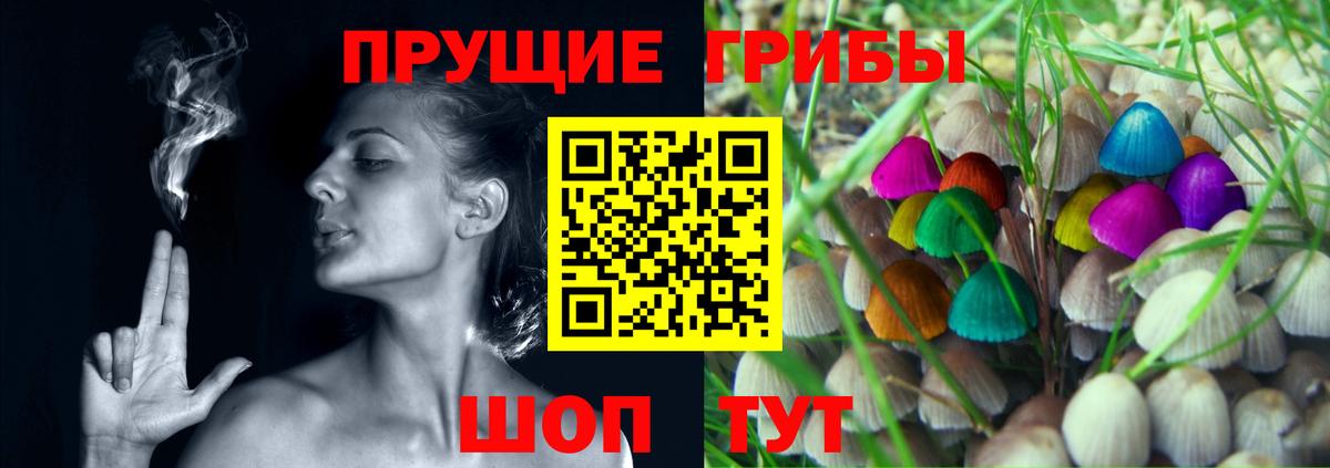 Зеленодольск  Галлюциногенные грибы Psilocybine cubensis  Вход с VPN 